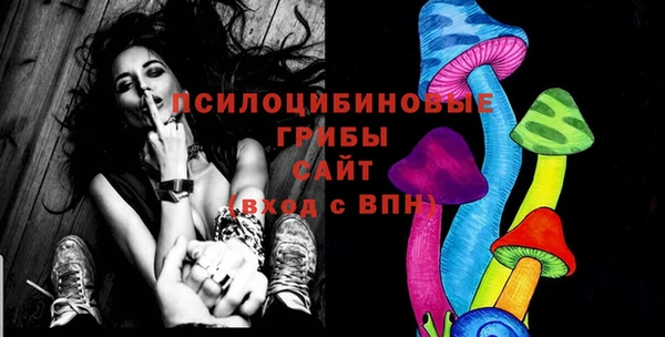 гидропоника Аркадак