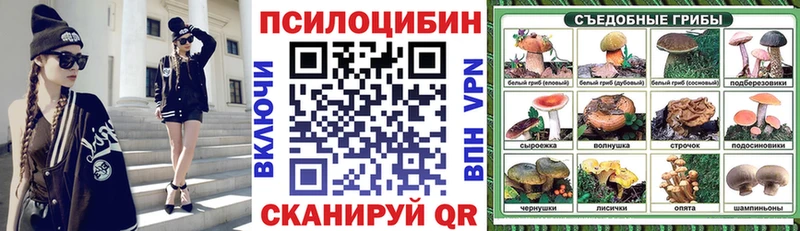 Псилоцибиновые грибы GOLDEN TEACHER  Усть-Катав 
